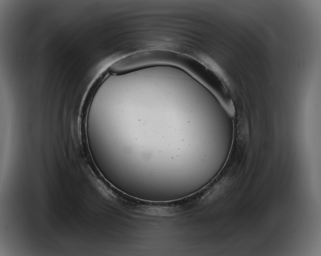 X0000086330932200704131716