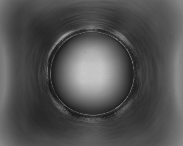 X0000086330934200704131716