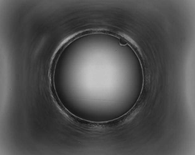 X0000086330935200704131716