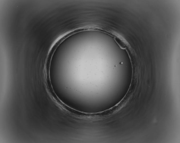 X0000086330936200704131716