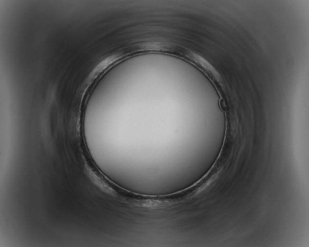 X0000086330938200704131716