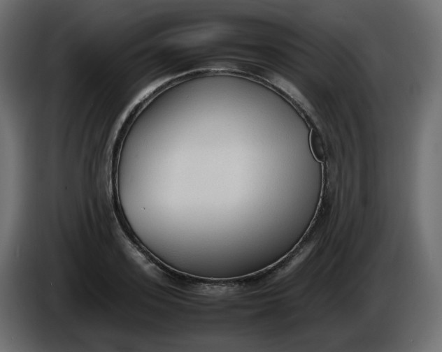 X0000086330939200704131716