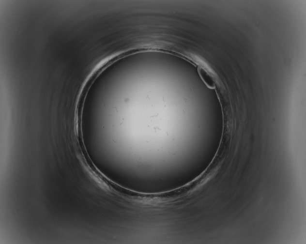 X0000086330940200704131716