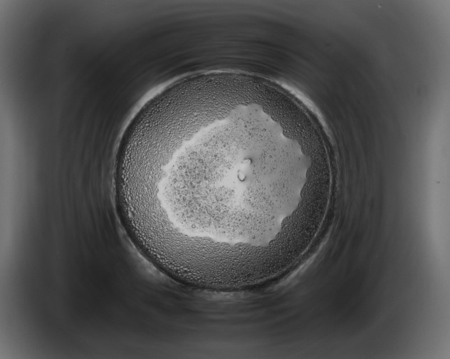 X0000086330941200704131716