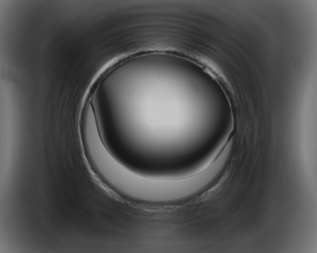 X0000086330942200704131716