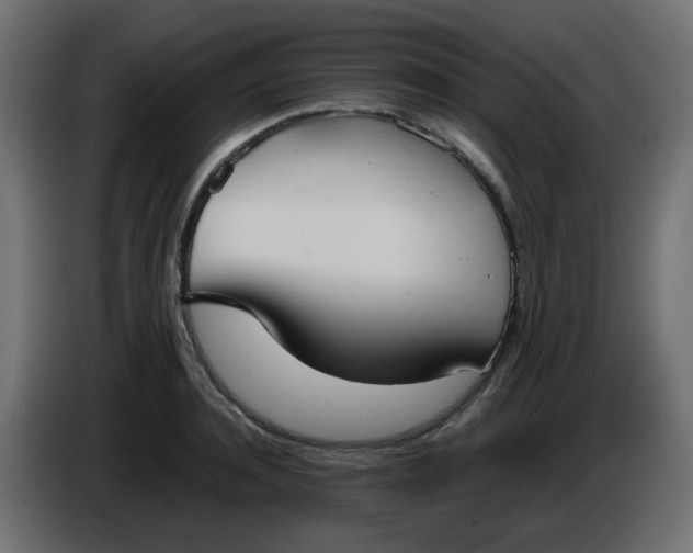 X0000086330944200704131716