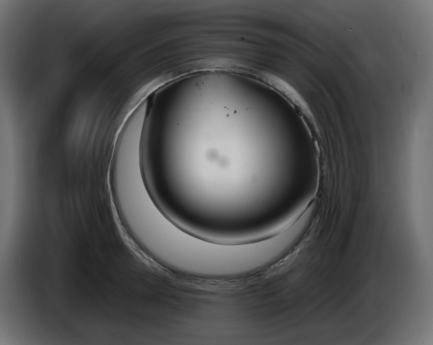 X0000086330946200704131716