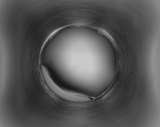 X0000086330948200704131716