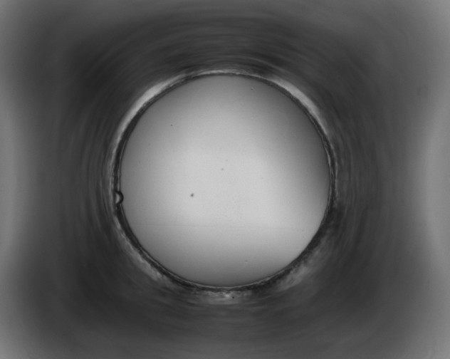 X0000086330949200704131716