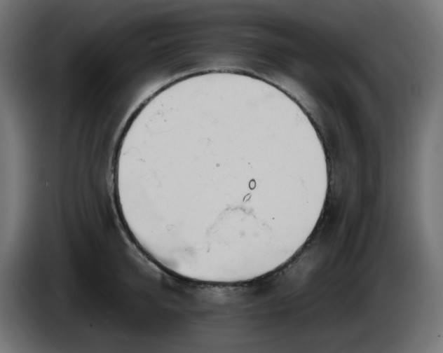 X0000086330950200704131716