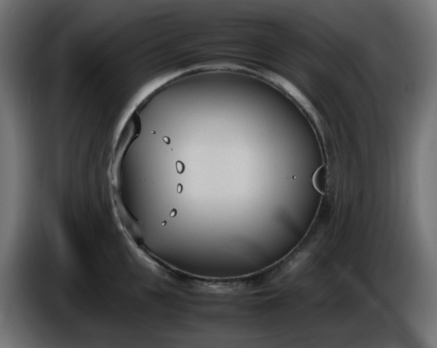 X0000086330951200704131716