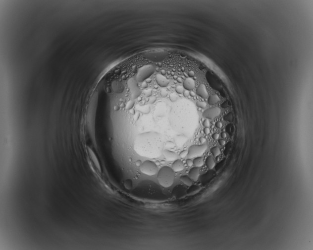 X0000086330953200704131716