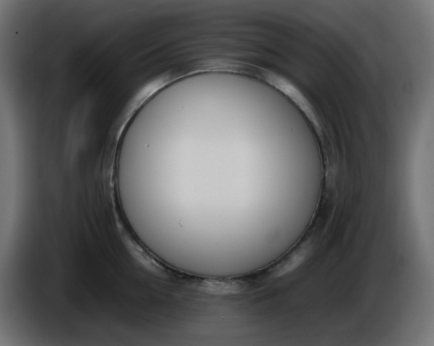 X0000086330954200704131716