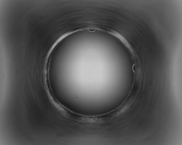 X0000086330955200704131716