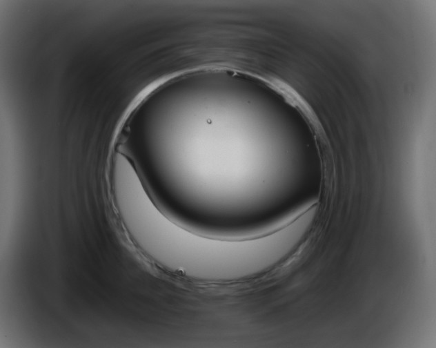 X0000086330956200704131716