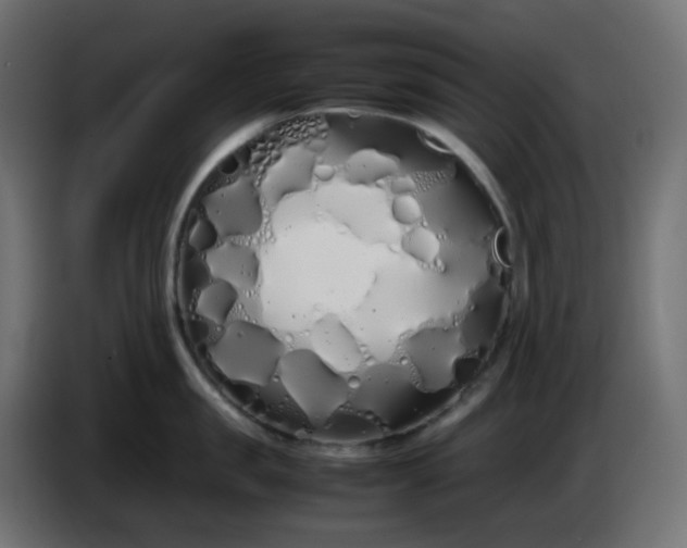 X0000086330957200704131716