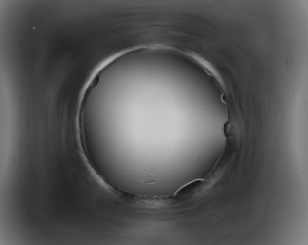 X0000086330959200704131716