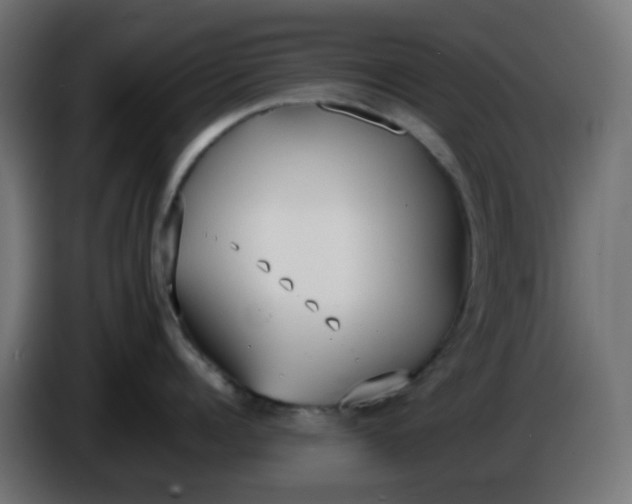 X0000086330960200704131716