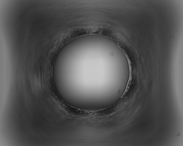 X0000086330961200704131715