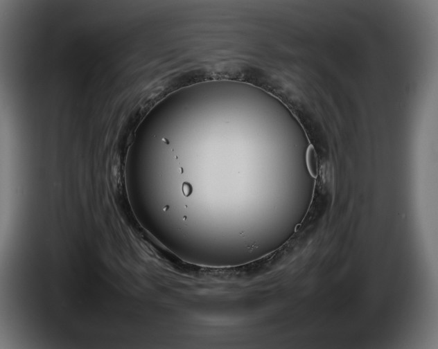 X0000086330963200704131715