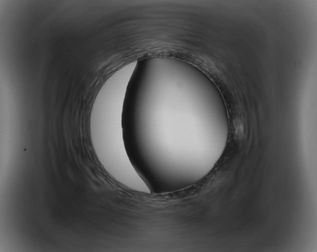 X0000086330964200704131715