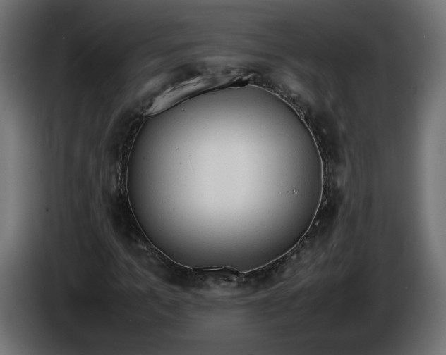 X0000086330965200704131715