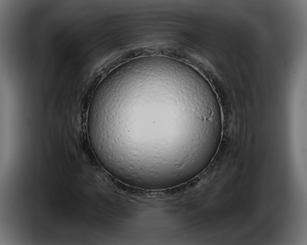 X0000086330966200704131715