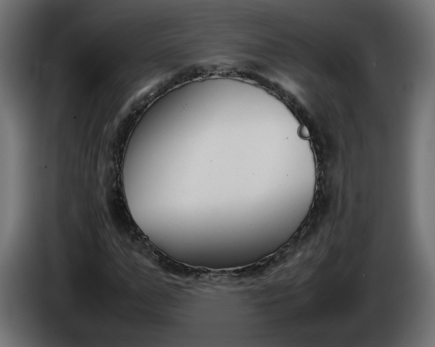 X0000086330967200704131715