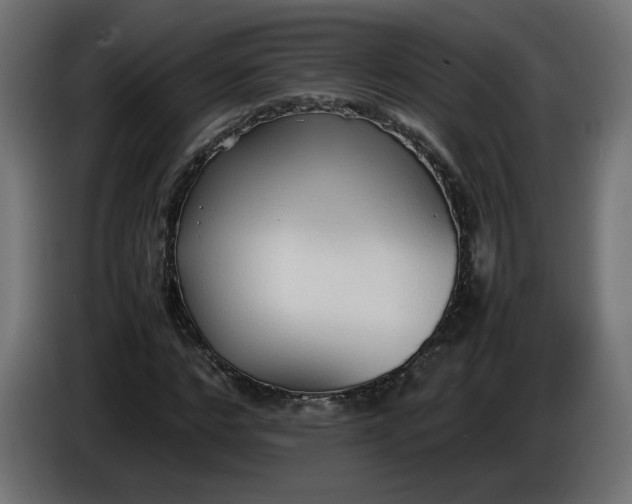 X0000086330968200704131715