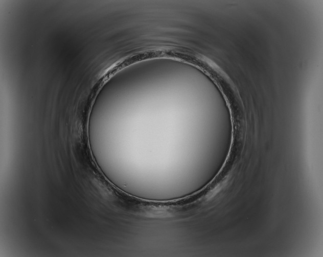 X0000086330969200704131715