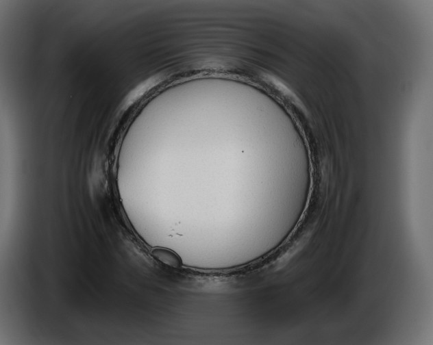 X0000086330970200704131715