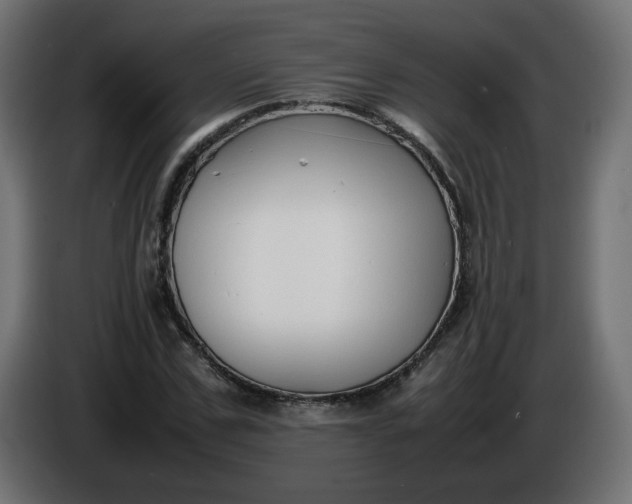 X0000086330971200704131715