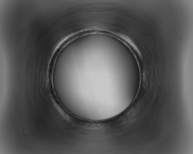 X0000086330972200704131715