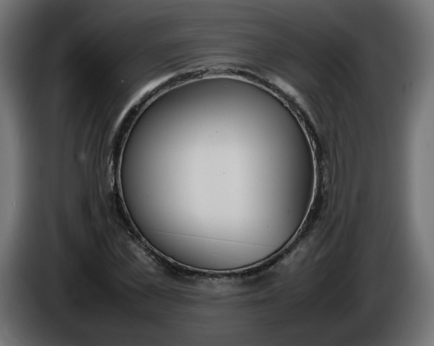 X0000086330973200704131715