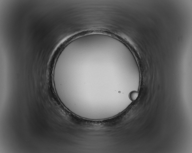 X0000086330975200704131715