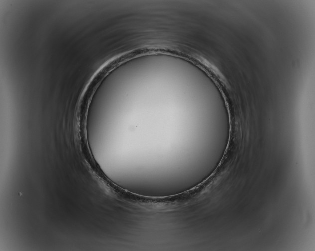 X0000086330976200704131715