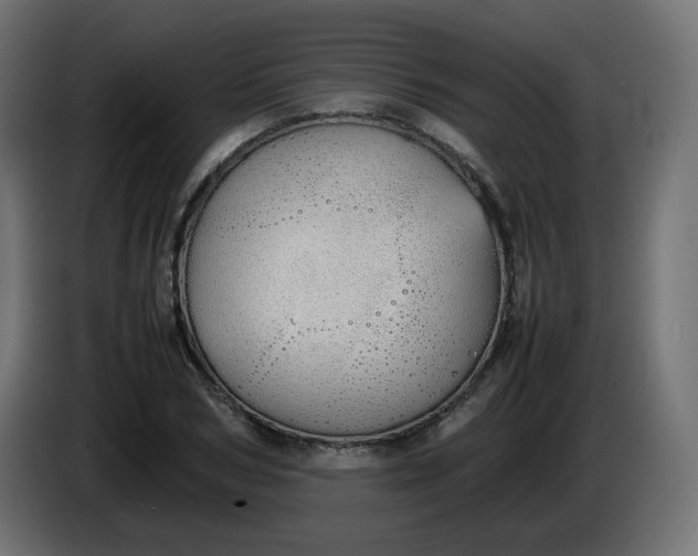 X0000086330978200704131715