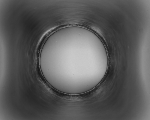 X0000086330979200704131715