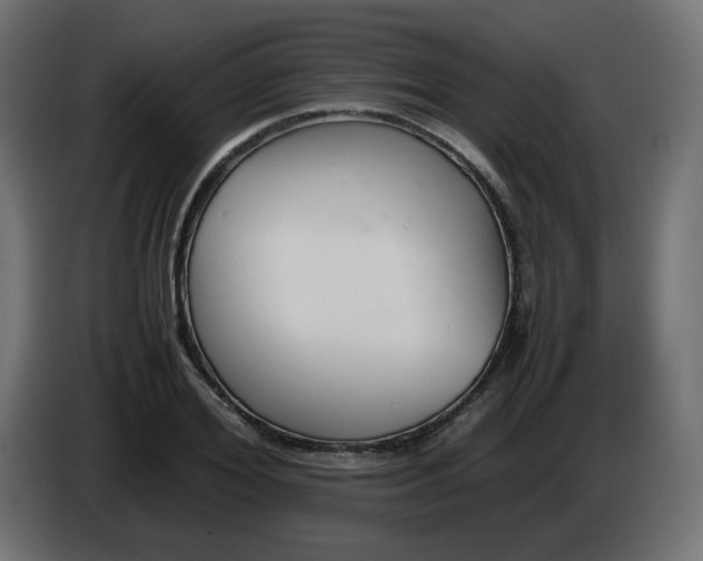 X0000086330980200704131715