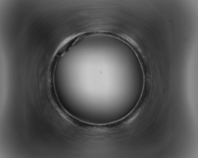 X0000086330981200704131715