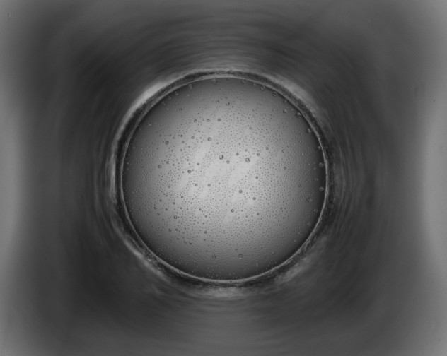 X0000086330982200704131715