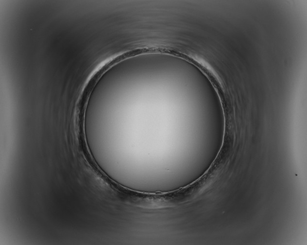 X0000086330983200704131715