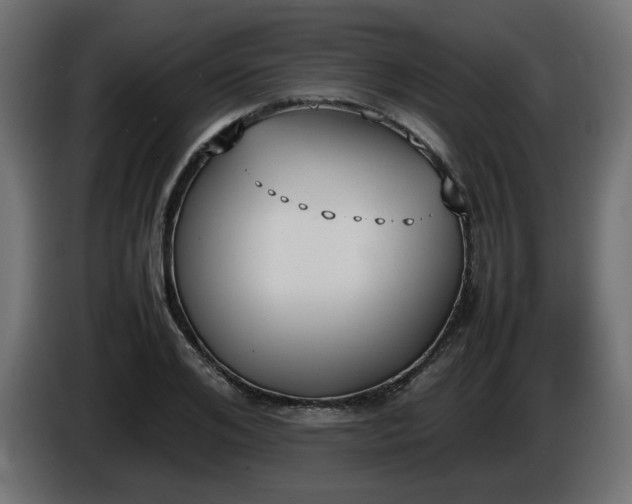 X0000086330984200704131715