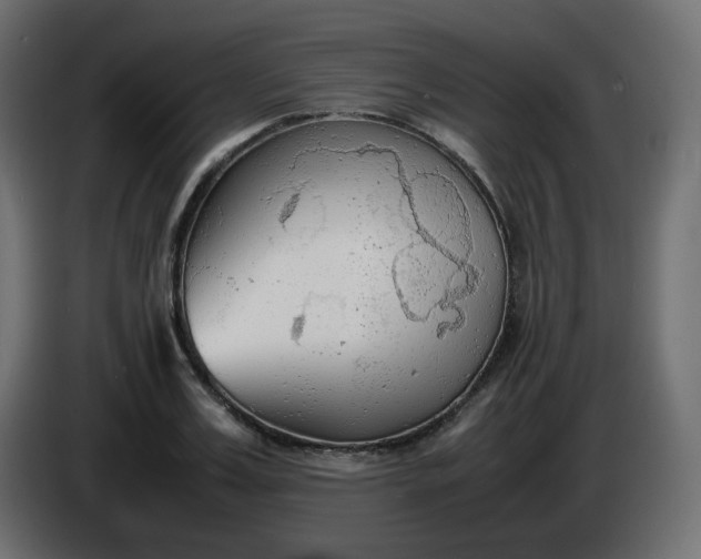 X0000086330987200704131715