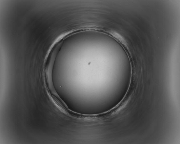 X0000086330989200704131715