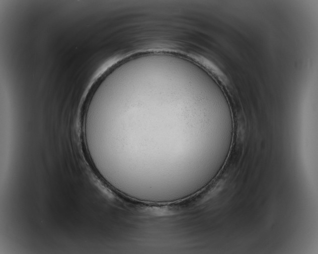 X0000086330990200704131715