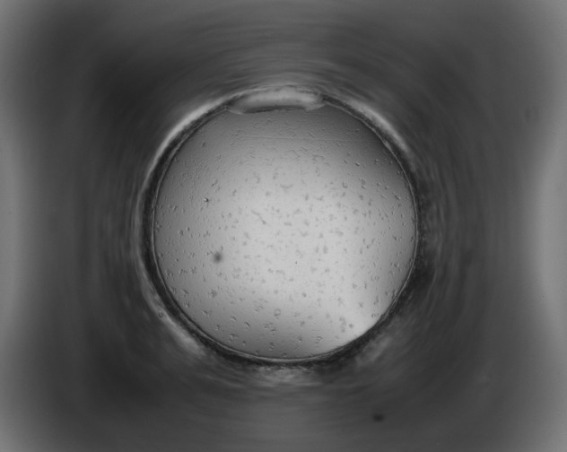 X0000086330991200704131715