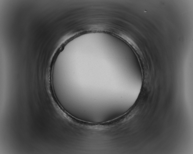 X0000086330992200704131715