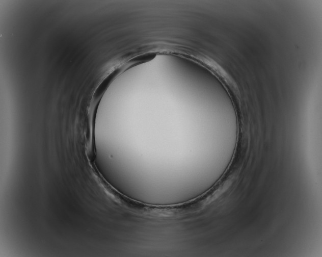 X0000086330993200704131715