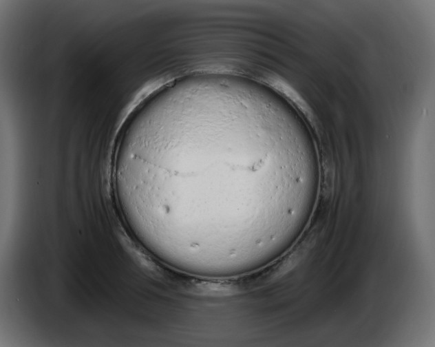 X0000086330994200704131715